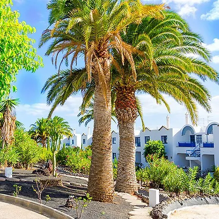 Hotel Puerto Carmen 4*